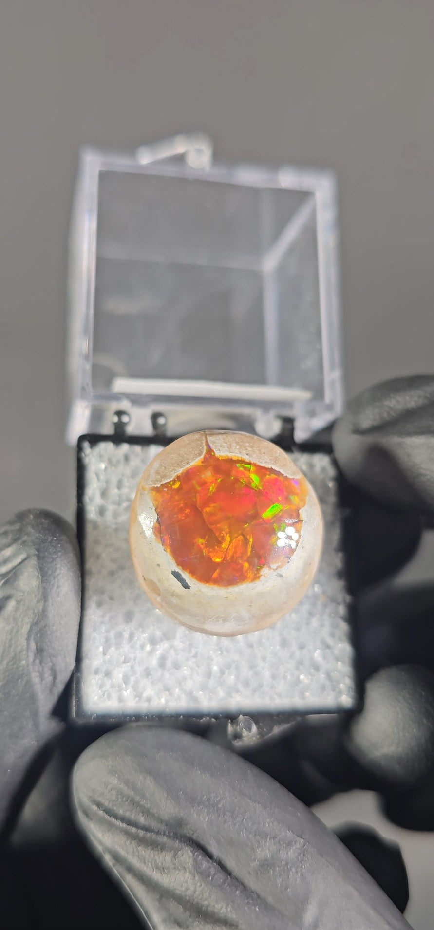 7 Gram Ethiopian Chocolate Opal Specimen – Fiery Red & Green Natural Opal
