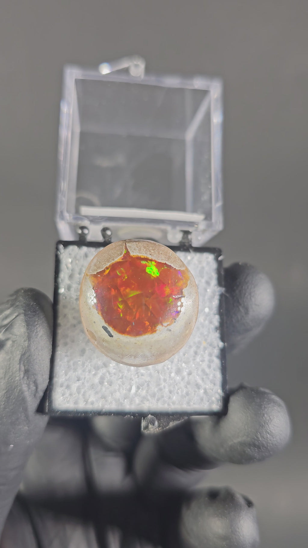 7 Gram Ethiopian Chocolate Opal Specimen – Fiery Red & Green Natural Opal